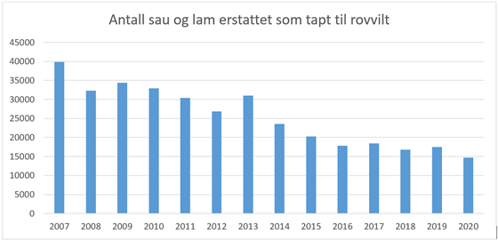 Grafikk antall sau og lam erstattet