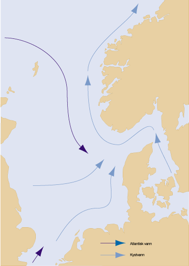 Figur 6.2 Oversikt over havstrømmene fra sørlige del
av Nordsjøen og Kattegat til Skagerrak.