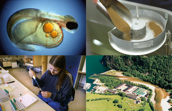 Figure 7.4 Photo: Embryo: Aqvaforsk. Others: Ewos AS