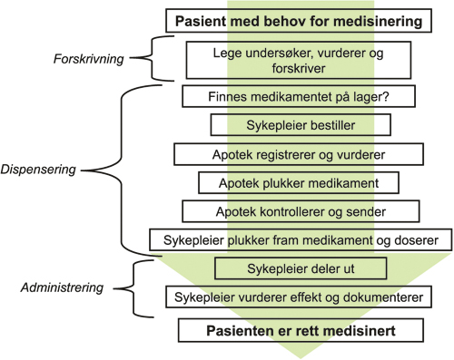 Figur 4.1 Legemiddelhåndtering i pleie- og omsorgstjenester
