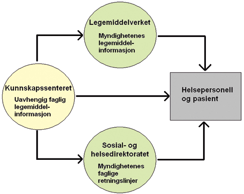 Figur 5.1 Informasjon om legemidler og ansvarsfordeling
