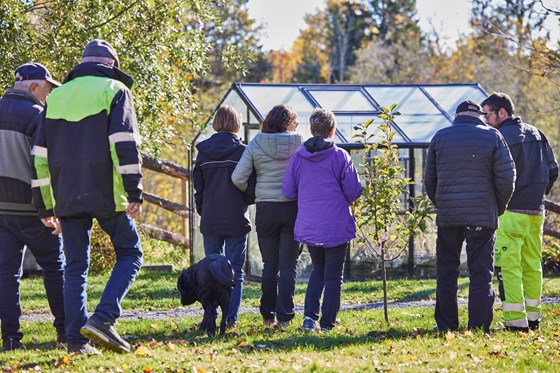 Inn på tunet for personer med demens på Bredeg gård i Trøgstad, Indre Østfold. 