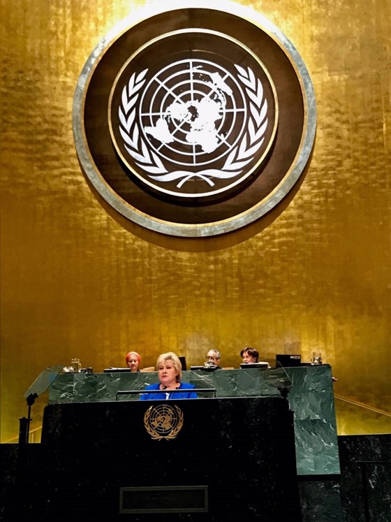 Prime Minister Erna Solberg.