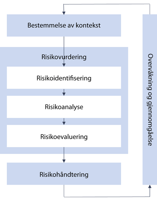 Figur 4.1 Risikostyring.