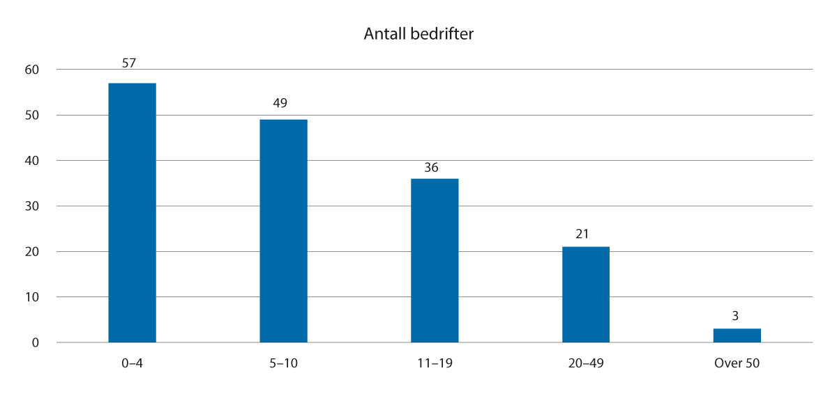 Figur 3.7 Sysselsetting i vekstbedriftene i 2022 (regnskapstall)
