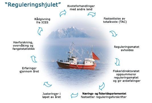 Reguleringshjulet