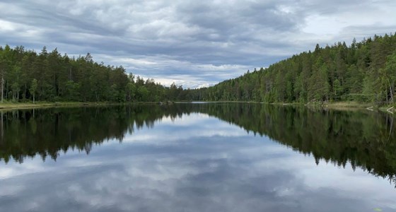 Eiriksvann