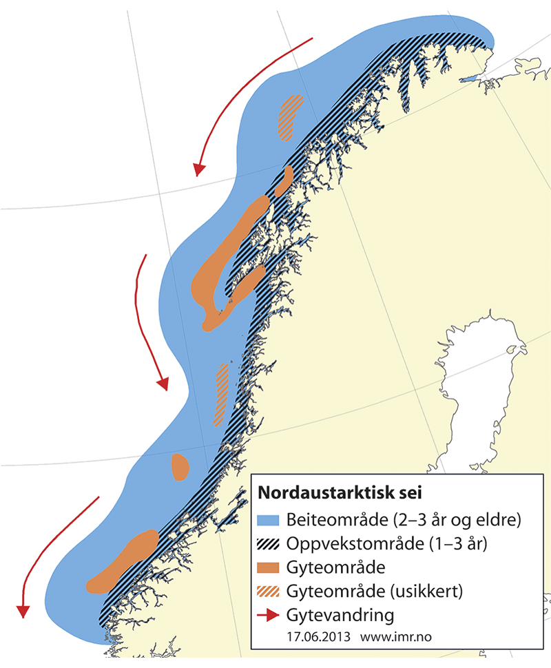 Figur 4.12 Utbreiingsområde og gyteområde for nordaustarktisk sei 