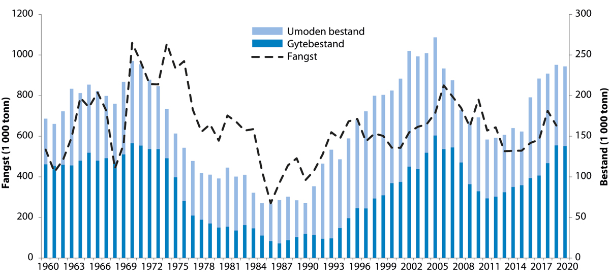 Figur 4.13 Utviklinga i bestand og fangst av nordaustarktisk sei