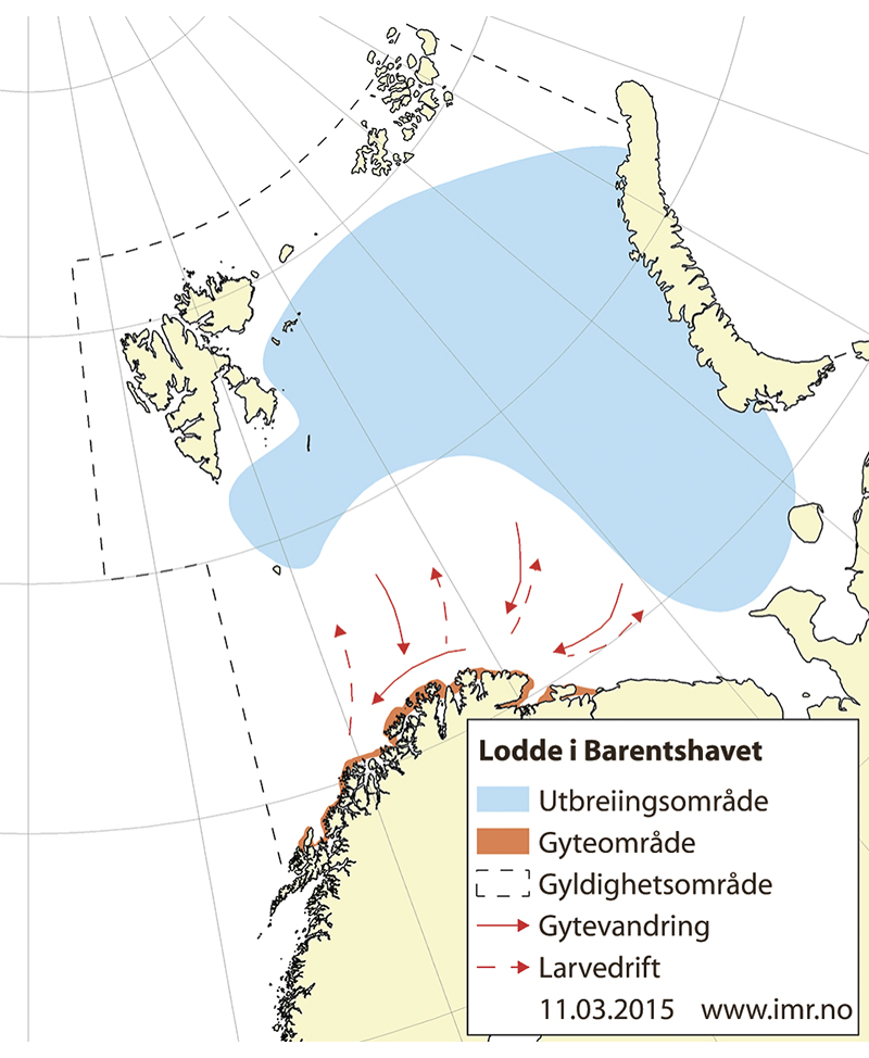 Figur 4.20 Utbreiingsområde og gyteområde for lodde i Barentshavet