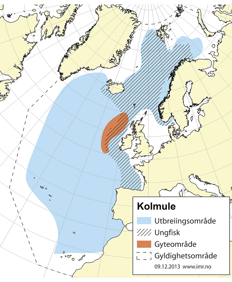 Figur 4.32 Utbreiingsområde og gyteområde for nordaustatlantisk kolmule