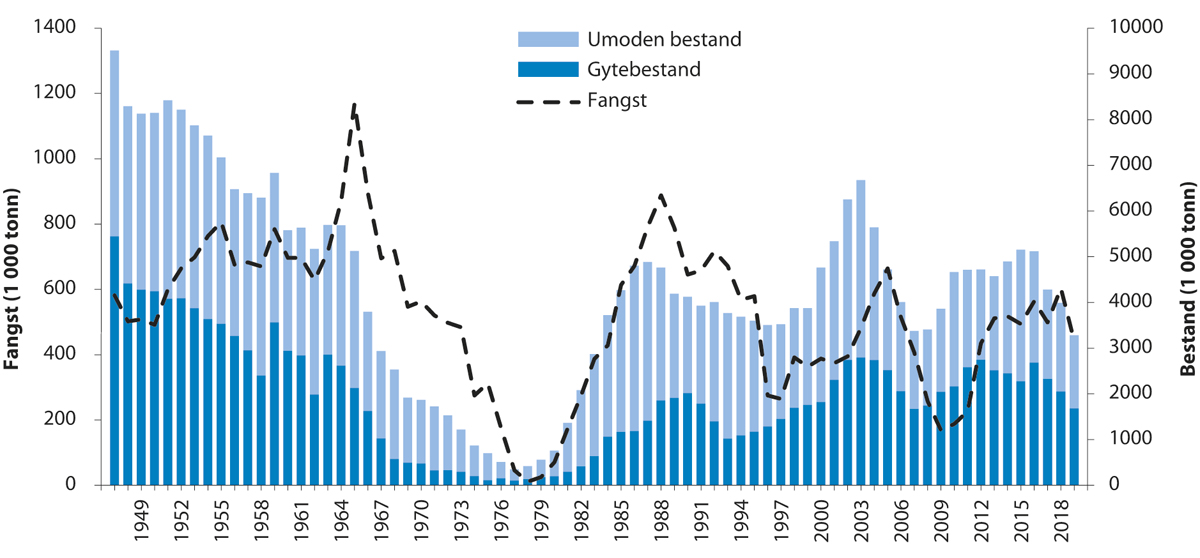 Figur 4.39 Utviklinga i bestand og fangst av nordsjøsild