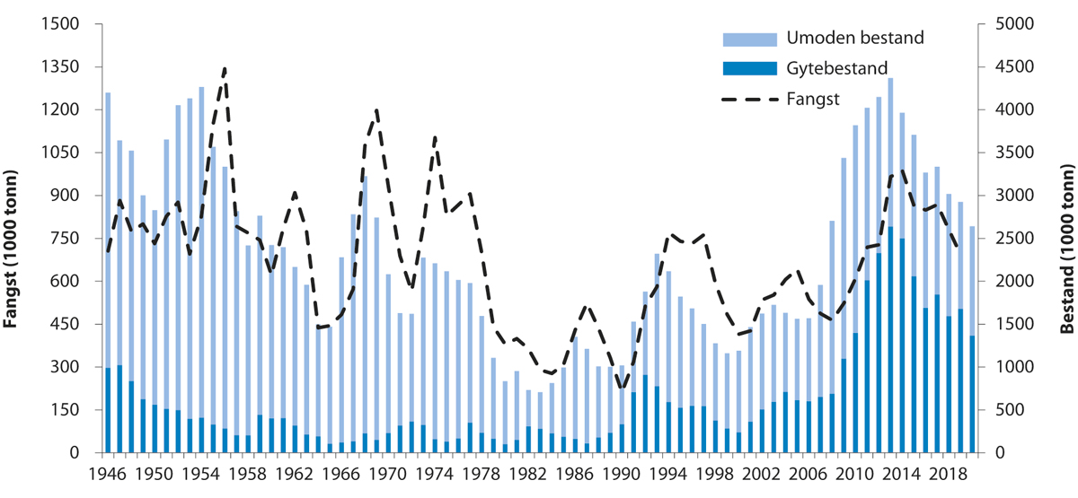 Figur 4.7 Utviklinga i bestand og fangst av nordaustarktisk torsk 