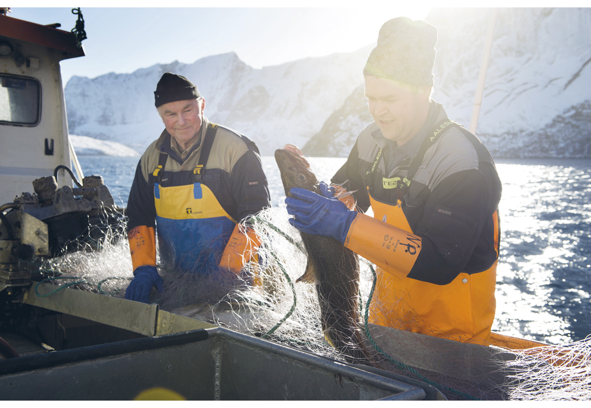 Figur 5.1 Fiske er viktig for livet langs kysten