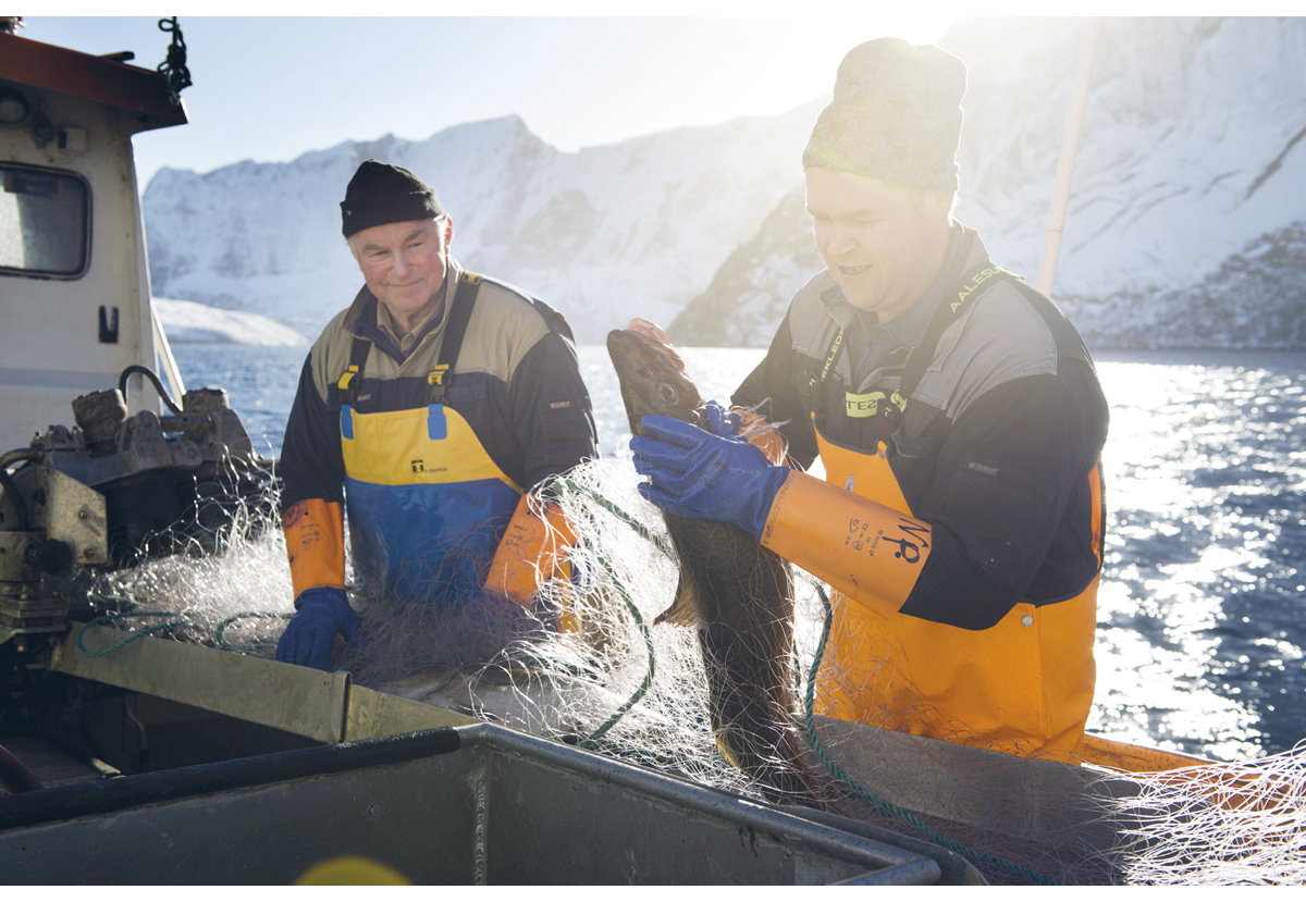 Figur 5.1 Fiske er viktig for livet langs kysten 
