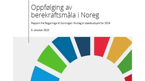 forside rapport