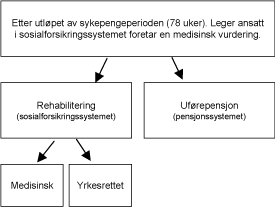 Figur 1.4 En skjematisk fremstilling av forholdet mellom ytelser og forholdet
mellom sosialforsikrings- og pensjonssystemet i Tyskland