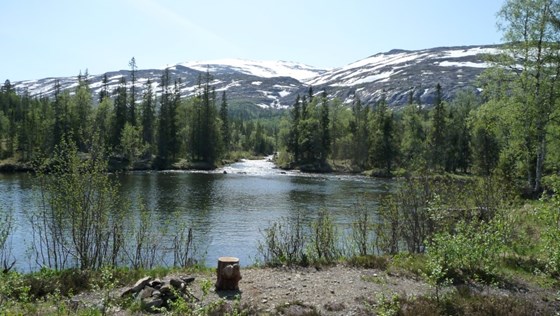 Fra Sirijorda naturreservat