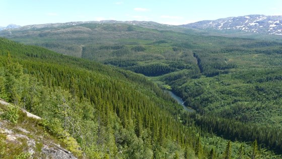 Oversiktsbilde over deler av Auster-Vefsna naturreservat