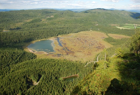 Høgmyr
