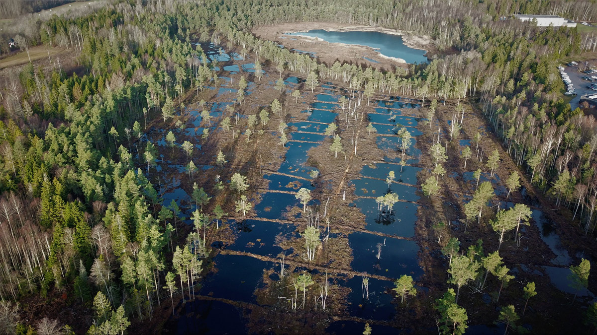 Figure 5.4 Adalstjern nature reserve.