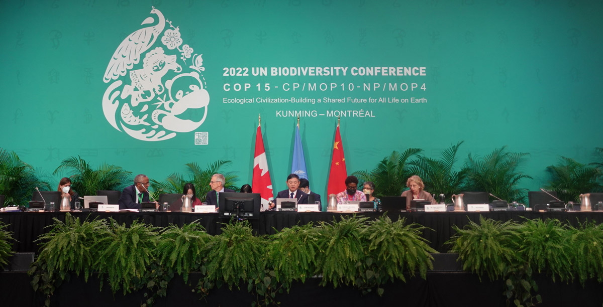 Figure 6.1 Montreal Climate Summit.