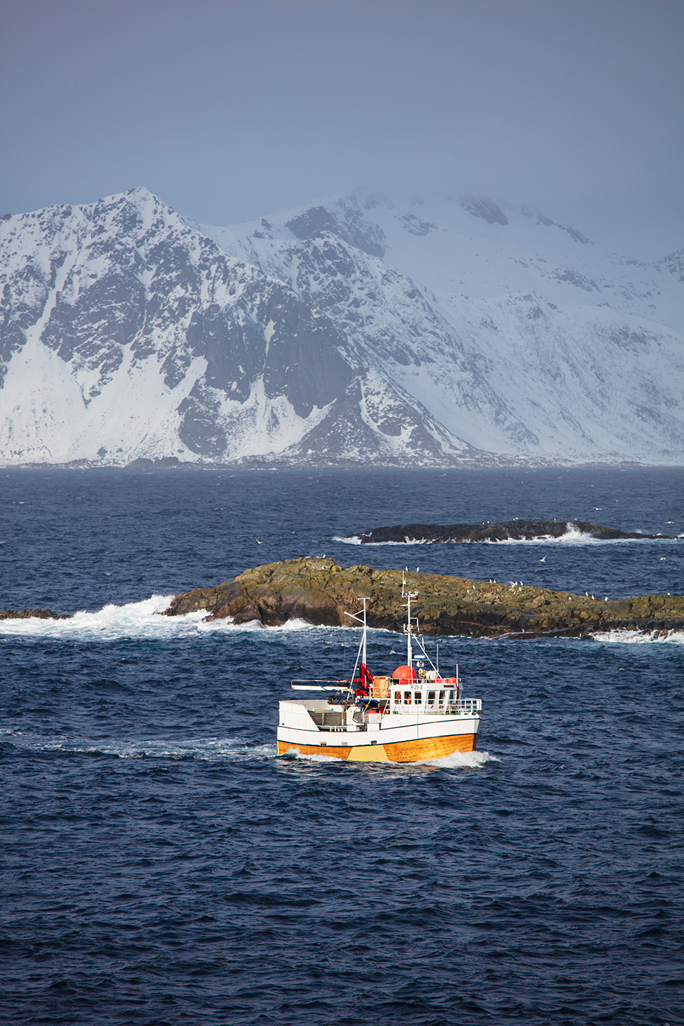 Figur 3.5 Mindre skrei i Nordland.