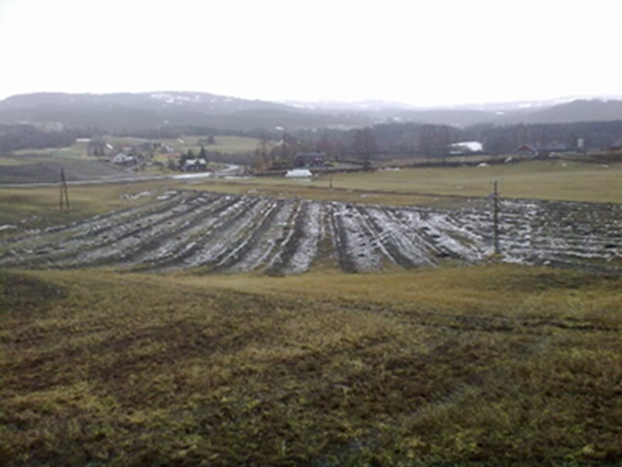 Systematisk grøfting.