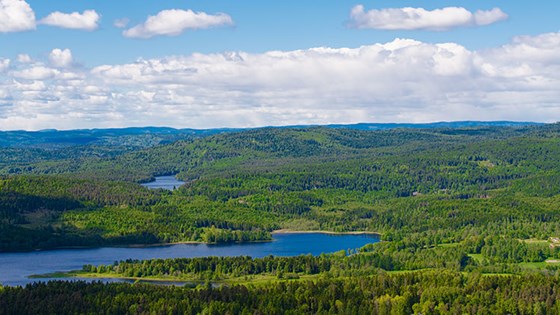Norwegian landscape.