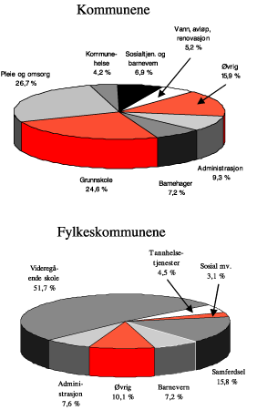 Figur 5.5 Sammensetningen av kommunesektorens utgifter. Bruttoutgifter etter utgiftsområder som andel av totale bruttoutgifter i 2002. Prosent