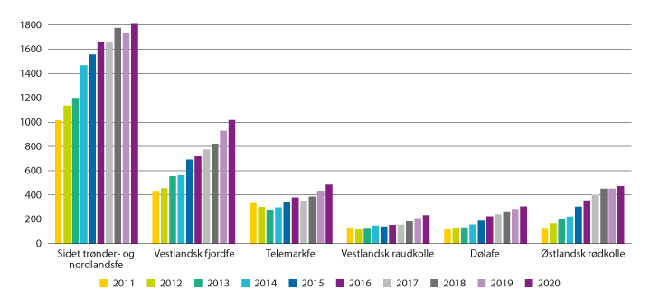 Figur 3.17 Utviklingen i antall avlshunndyr, storfe, 2012–2020, Kuregisteret