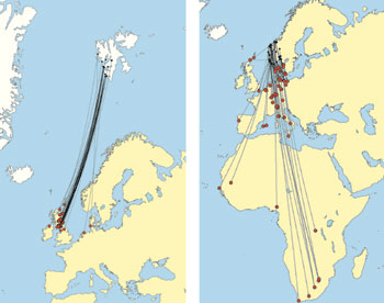 Figur 10.1 Norge deler mange arter med andre land. Bonnkonvensjonen om
 vern av trekkende arter av ville dyr regulerer vernet om trekkende arter.
 Konvensjonen skiller ikke mellom trekkende landdyr og marine dyr.
 Kart nr. 1 viser trekkruter med gjenfunn for...