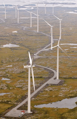 Figur 7.2 Flere vindmølleparker planlegges i Norge. Stortinget
har som mål at det produseres 3 TWh vindkraft innen 2010.
For å unngå negative virkninger av vindkraft på fugler
og pattedyr er god planlegging nødvendig.
Her fra Smøla Vindpark.