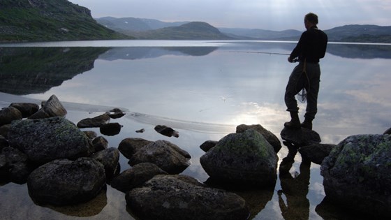 Kveldsstund ved Nutevatn.