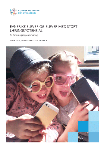 Figure 3.8 Research summary from the Norwegian Knowledge Centre for Education