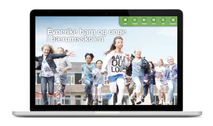 Figure 7.5 Bærum local authority's website