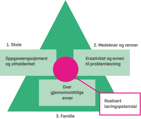 Figur 4.2 Forutsetninger for å realisere læringspotensial