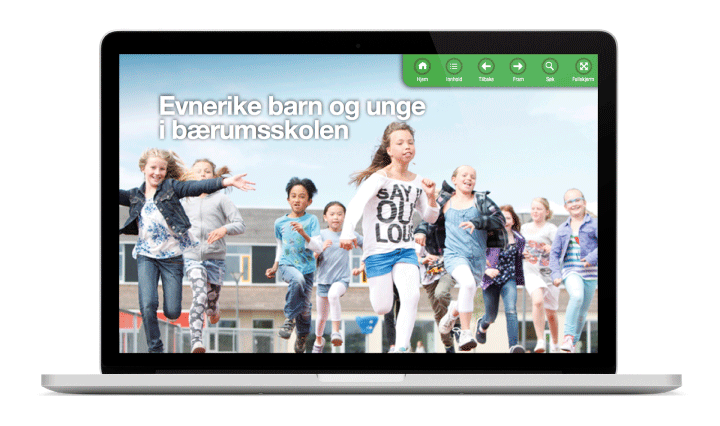 Figur 7.5 Bærum kommunes ressursside