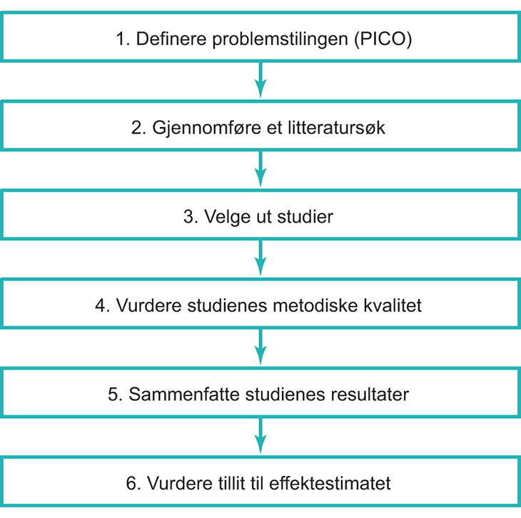 Figur 10.2 Prosess for en systematisk oversikt