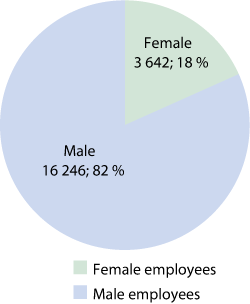 Figure 1.3 Distribution between male and female employees in the defence sector