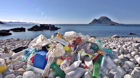 Norway has earmarked funds to support UNEP’s efforts to combat marine pollution. Credit: UNEP