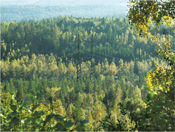 Figur 6.8 420 kV ledning Viklandet – Fræna. Eksempel på kamuflering og begrenset skogrydding