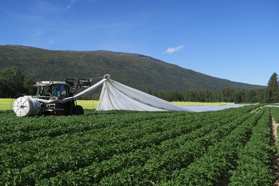 Jordkvaliteten påvirker både matsikkerheten, folkehelsa og miljøet.