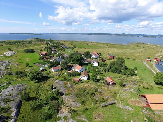 Klyngetun på Stråholmen.
