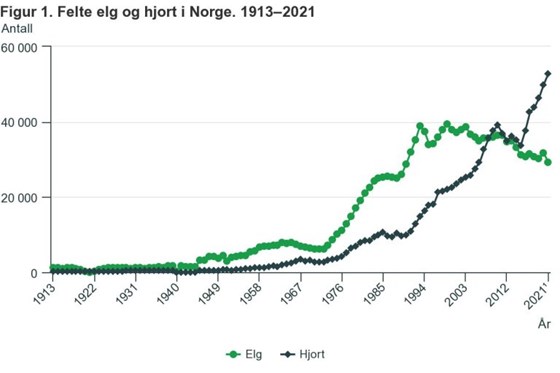 Antal felte hjort når nye høgdar, medan talet på felte elg er det lågaste som er registrert sidan jaktåret 1990/1991.