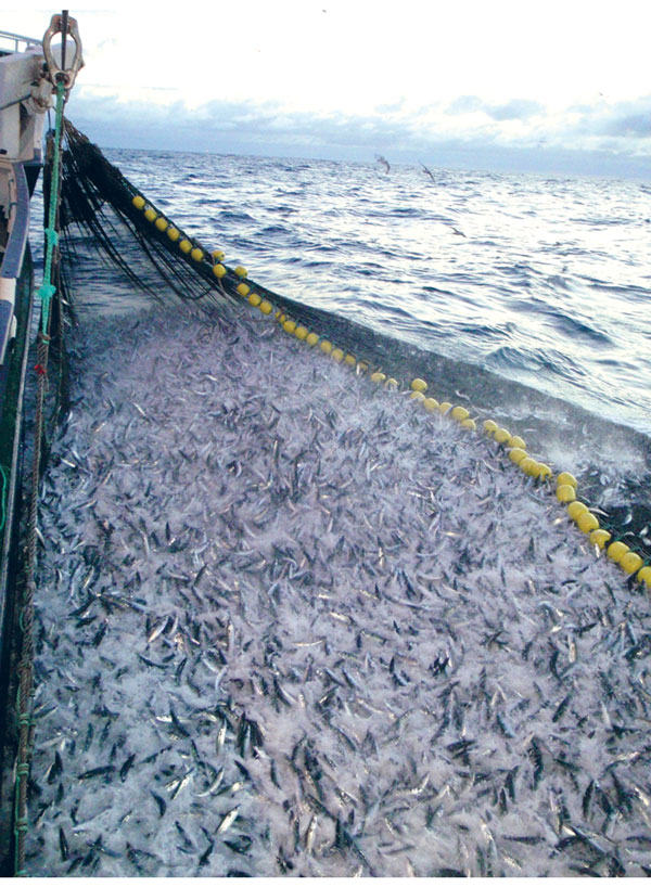Figure 5.2 Catches landed by Norway’s fishing fleet generate large annual revenues.