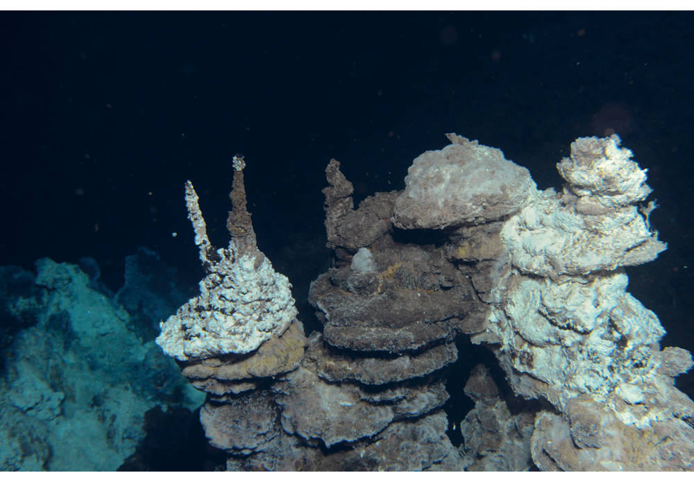 Figure 5.5 Exploitation of seabed minerals may become an important industry in the long term. Pictured are hydrothermal vents in the Soria Moria field, between Jan Mayen and Bjørnøya.