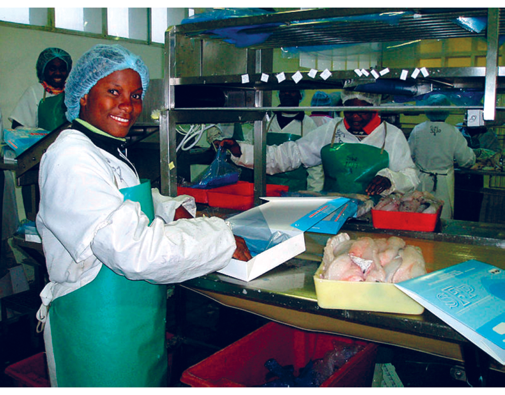 Figure 7.3 Fillet packing at Sea Work in Walvis Bay, Namibia.