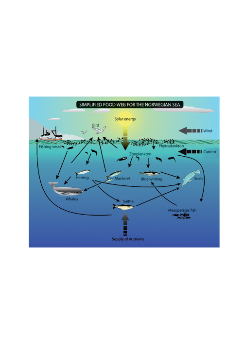 Figure 3-2.EPS Interactions in the marine ecosystem of the Norwegian Sea