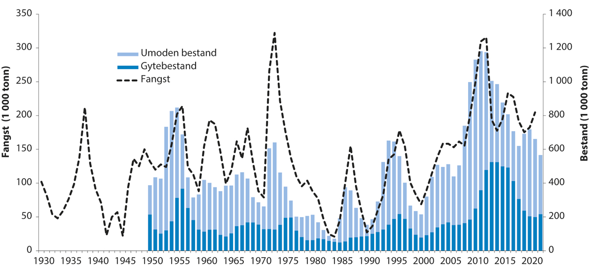 Figur 4.10 Utviklinga i bestand og fangst av nordaustarktisk hyse.